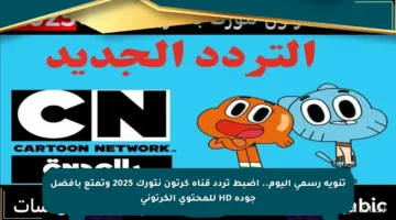 تنويه رسمي اليوم.. اضبط تردد قناة كرتون نتورك 2025 وتمتع بأفضل جودة HD للمحتوى الكرتوني